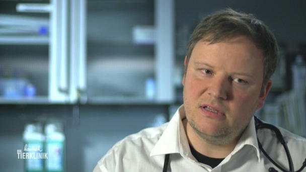 Therapieplan für Anton Therapieplan für Anton