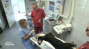 Komplizierte Kiefer-Operation soll Duffy helfen Komplizierte Kiefer-Operation soll Duffy helfen