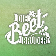 Bild 16