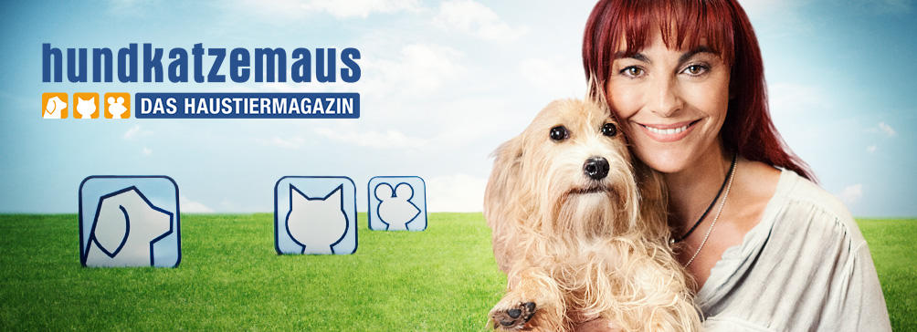 Vox Now Hund Katze Maus Vox Now Hund Katze Maus